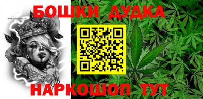 дживик Дубна