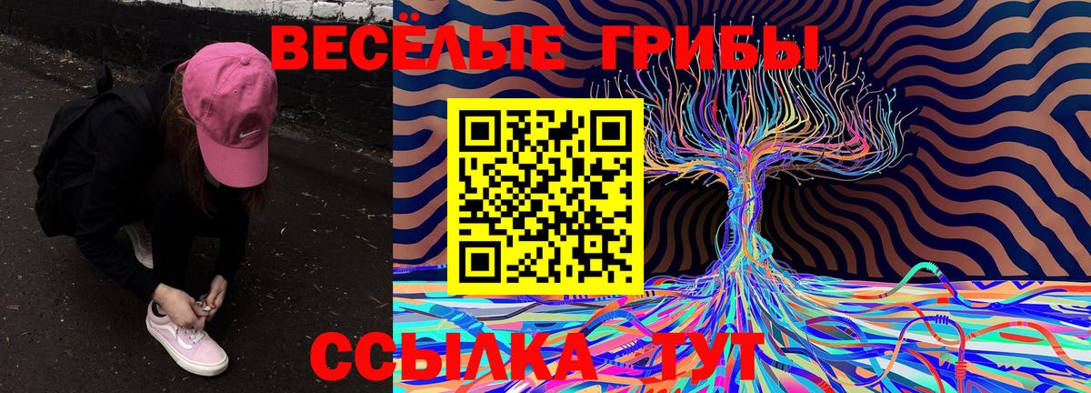 как найти   Псилоцибиновые грибы GOLDEN TEACHER  Вход с VPN  Кумертау 